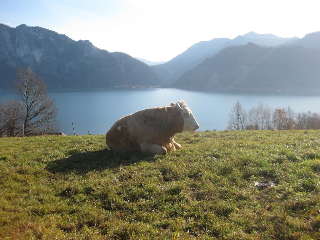 Exklusiv Apartment Scheichl Unterach am Attersee Εξωτερικό φωτογραφία